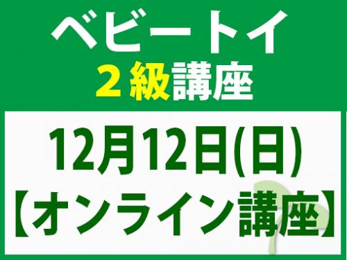 【オンラインライブ講座】12月12日(日)　ベビートイ2級講座