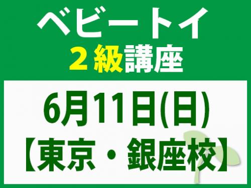 【東京・銀座校】6月11日(日) ベビートイ2級講座
